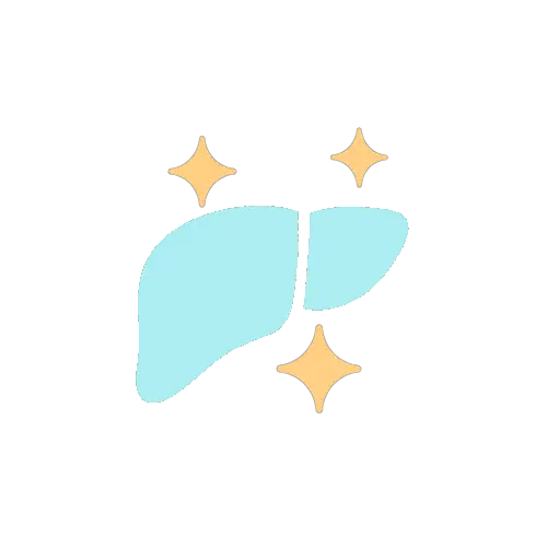 liver-icon